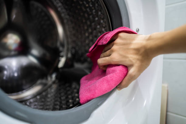 Best Mold Damage Restoration  in Turtle Creek, PA