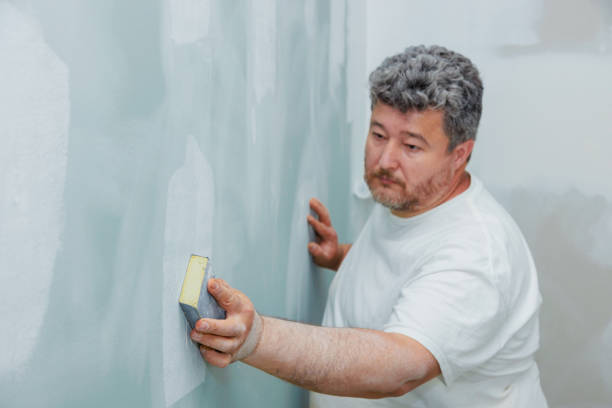 Best Water Damage & Mold Remediation  in Turtle Creek, PA